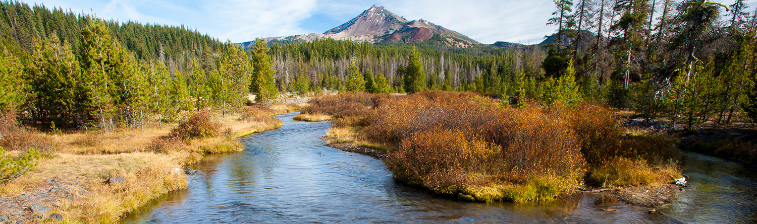 river with a mountain and trees in a landscape